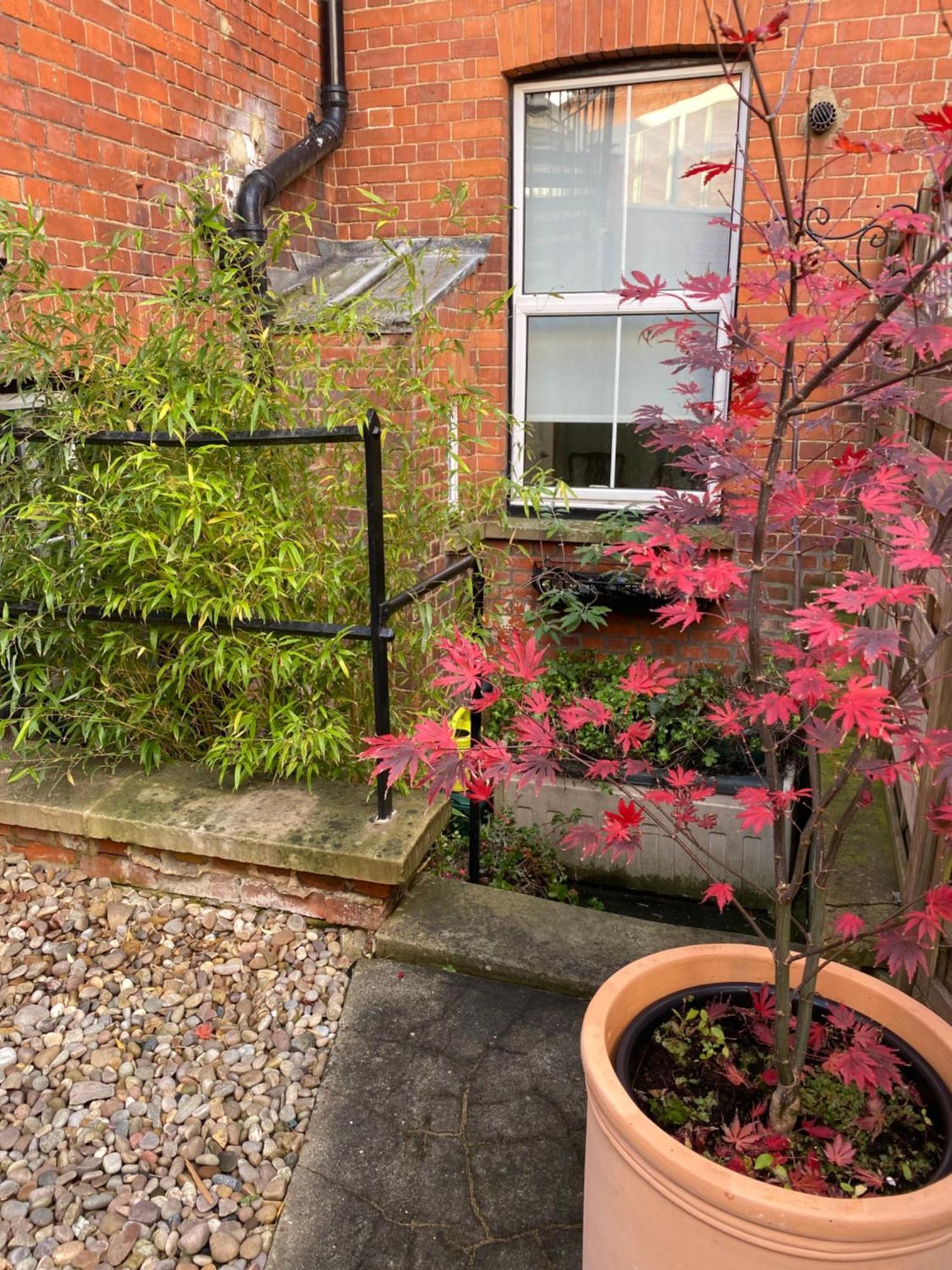Deluxe Three Bed Bnb In Henley-On-Thames Near Station River & Town Centre Kültér fotó